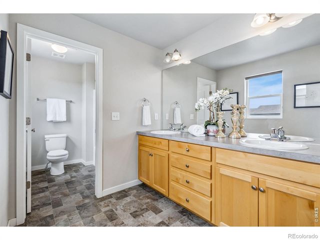 3787 River Birch Street, Wellington, CO 80549