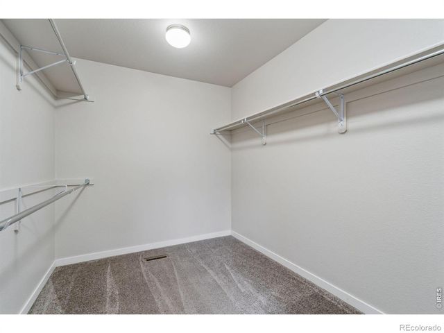 3787 River Birch Street, Wellington, CO 80549