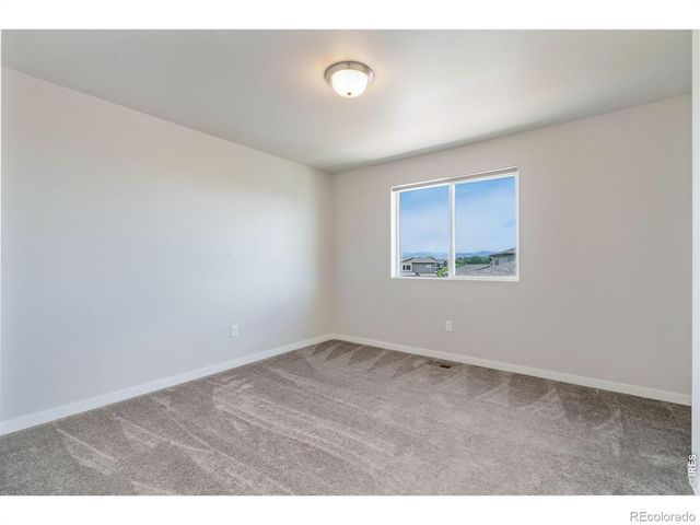 3787 River Birch Street, Wellington, CO 80549