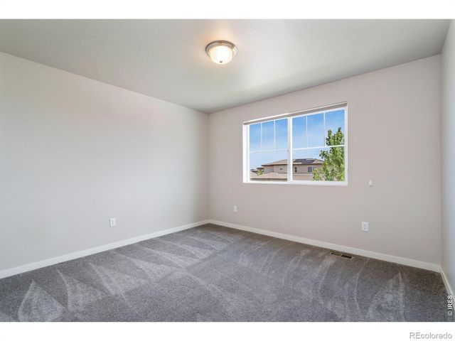 3787 River Birch Street, Wellington, CO 80549
