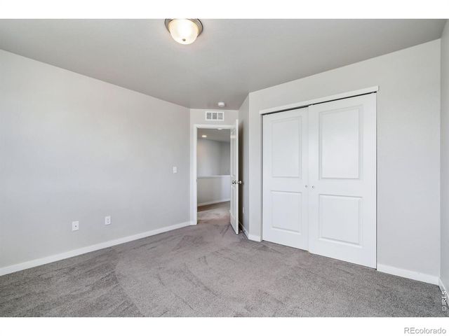3787 River Birch Street, Wellington, CO 80549