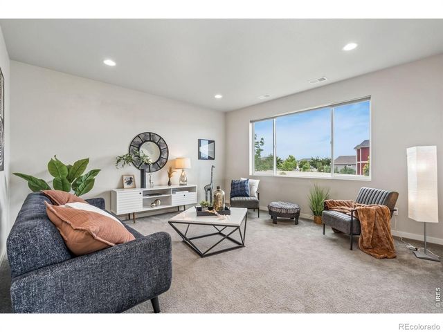 3787 River Birch Street, Wellington, CO 80549