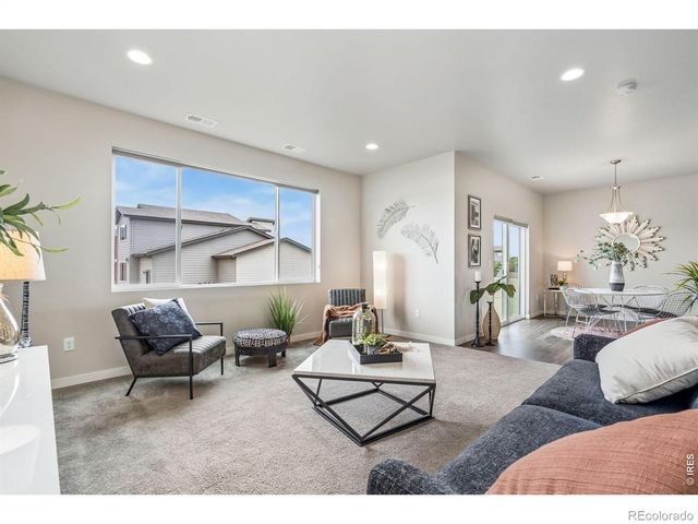 3787 River Birch Street, Wellington, CO 80549