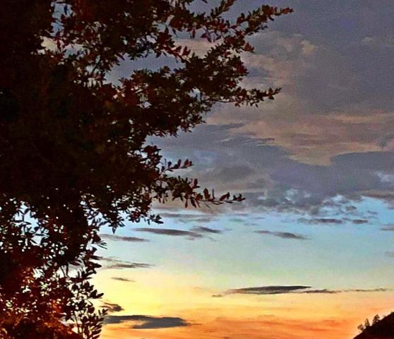 16602 Jamacia Inn Street, Jamaica Beach, TX 77554