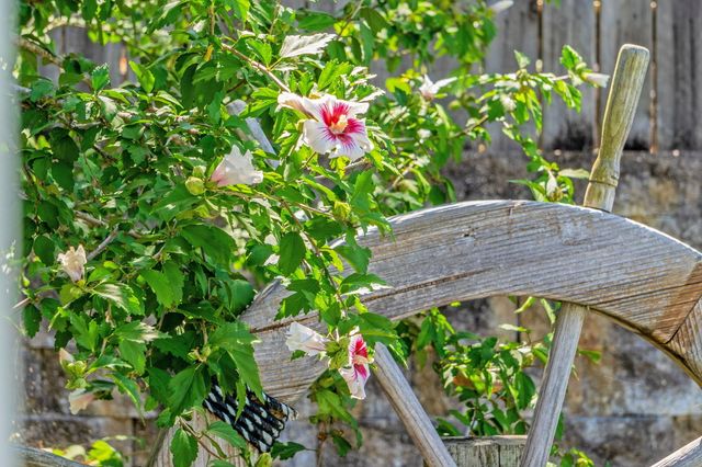 303 Deep Water Circle, Reeds Spring, MO 65737