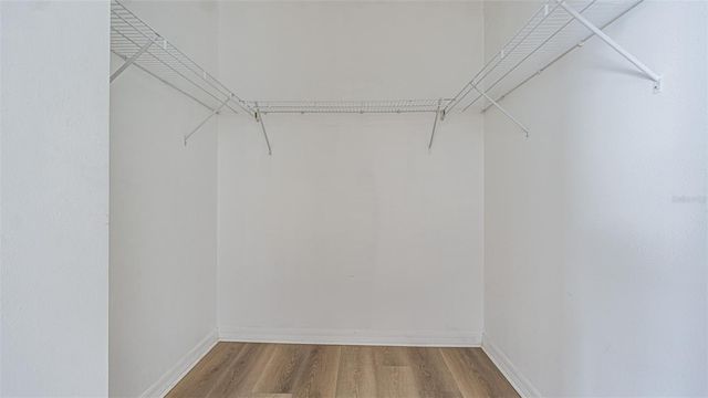 3248 BROKEN BOW DRIVE, Land O Lakes, FL 34639