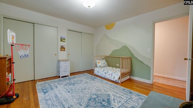 3199 Double Bridges Road, Batesburg, SC 29006