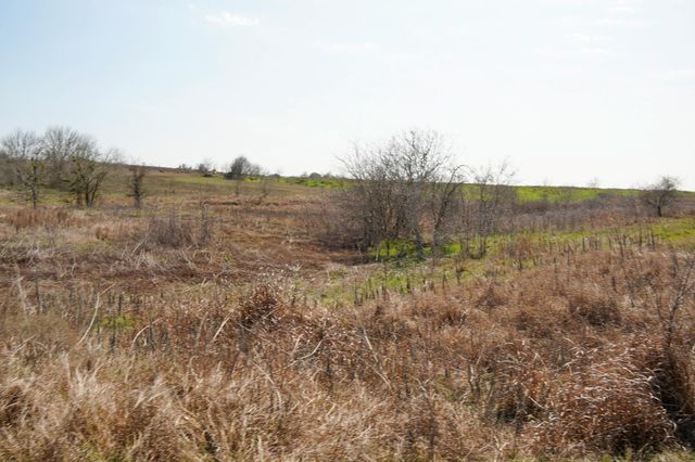 6455 Gebert Road, Schulenburg, TX 78949