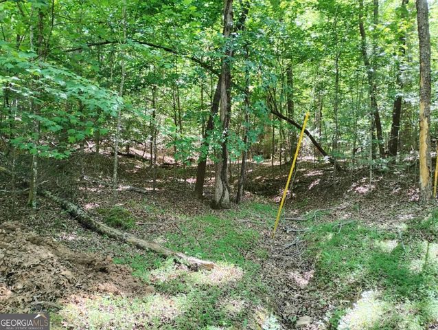 0 Gladstone Court 967, 968, Ellijay, GA 30540