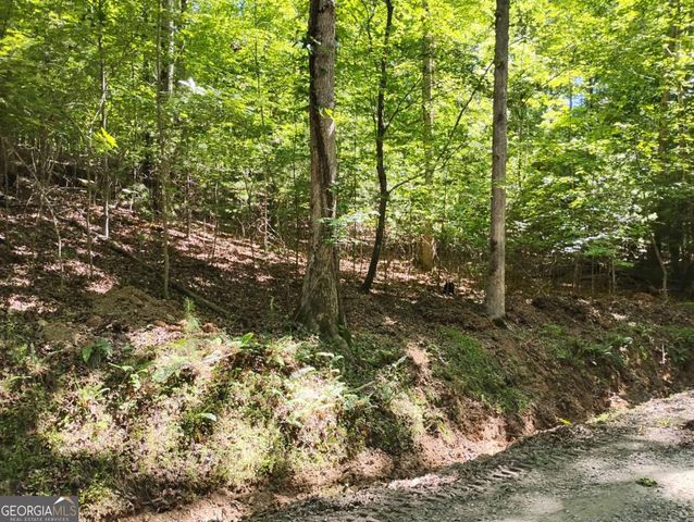0 Gladstone Court 967, 968, Ellijay, GA 30540