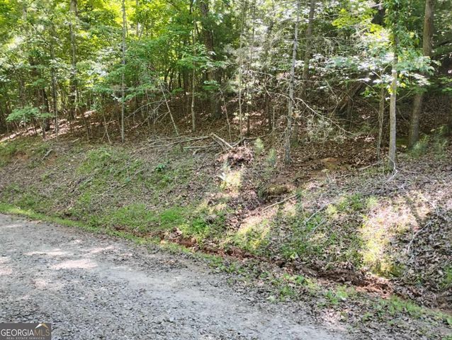 0 Gladstone Court 967, 968, Ellijay, GA 30540
