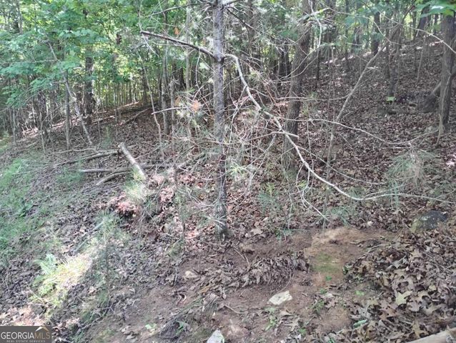 0 Gladstone Court 967, 968, Ellijay, GA 30540
