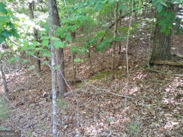 0 Gladstone Court 967, 968, Ellijay, GA 30540