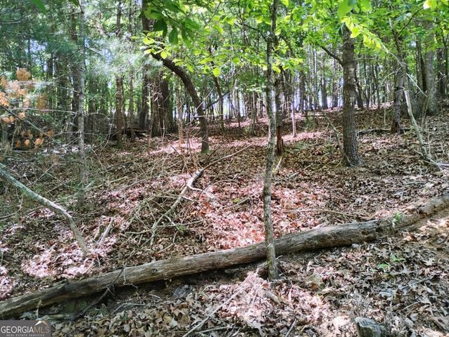 0 Gladstone Court 967, 968, Ellijay, GA 30540