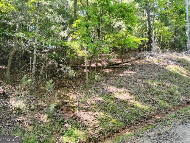 0 Gladstone Court 967, 968, Ellijay, GA 30540