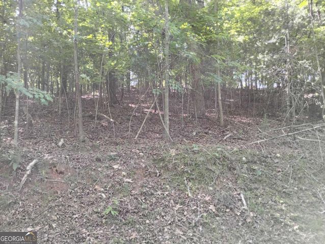 0 Gladstone Court 967, 968, Ellijay, GA 30540