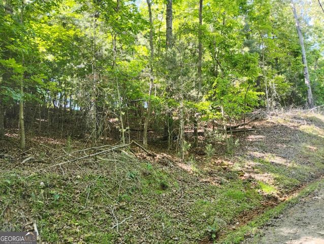 0 Gladstone Court 967, 968, Ellijay, GA 30540