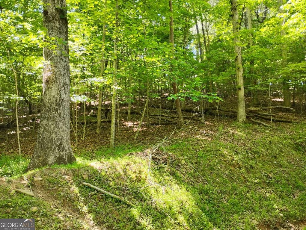 0 Gladstone Court 967, 968, Ellijay, GA 30540