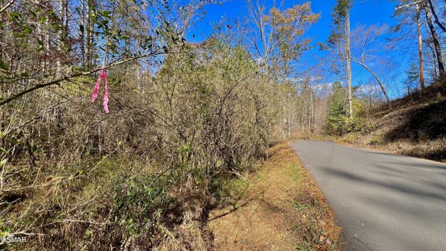76 Grassy Branch Loop, Sevierville, TN 37876