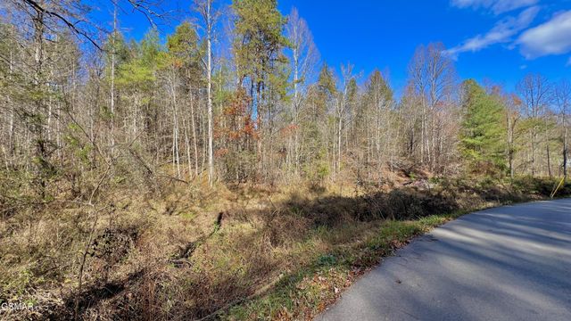 76 Grassy Branch Loop, Sevierville, TN 37876