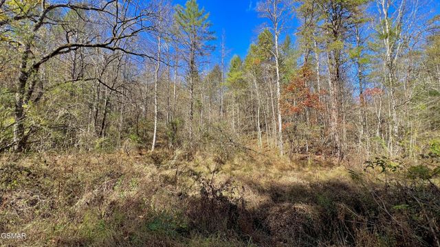 76 Grassy Branch Loop, Sevierville, TN 37876