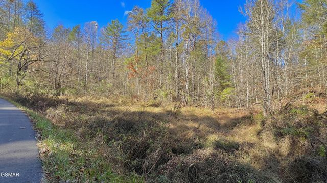 76 Grassy Branch Loop, Sevierville, TN 37876