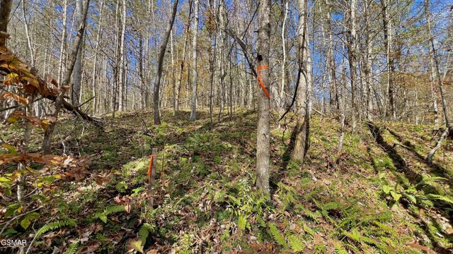 76 Grassy Branch Loop, Sevierville, TN 37876