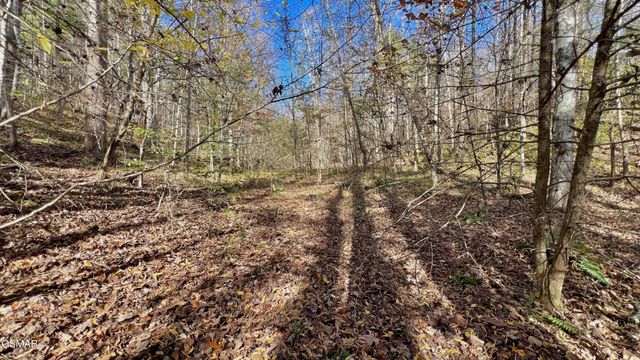 76 Grassy Branch Loop, Sevierville, TN 37876