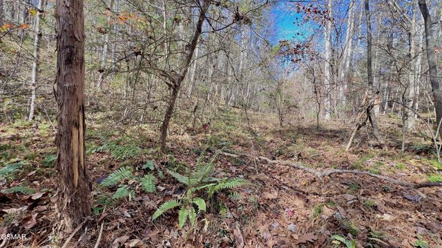 76 Grassy Branch Loop, Sevierville, TN 37876