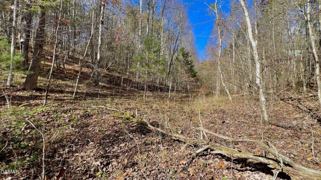 76 Grassy Branch Loop, Sevierville, TN 37876