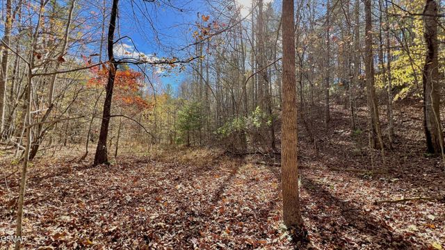 76 Grassy Branch Loop, Sevierville, TN 37876