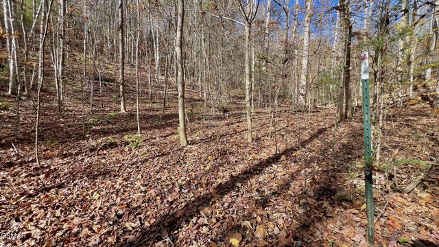76 Grassy Branch Loop, Sevierville, TN 37876