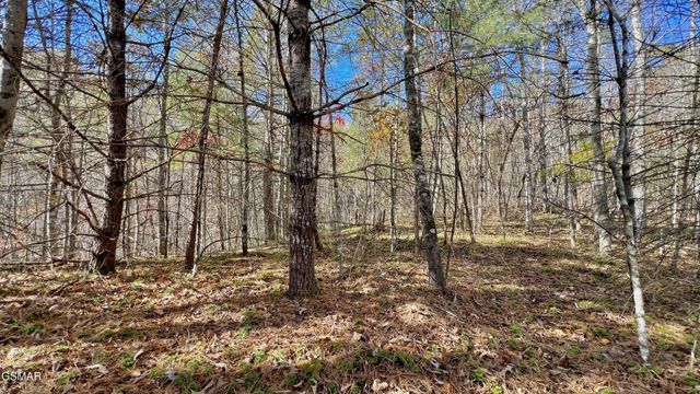 76 Grassy Branch Loop, Sevierville, TN 37876