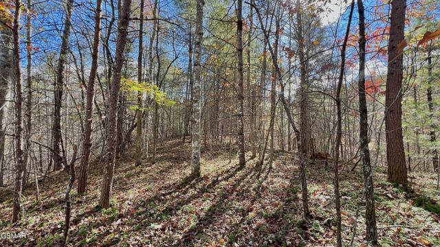 76 Grassy Branch Loop, Sevierville, TN 37876