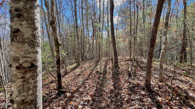 76 Grassy Branch Loop, Sevierville, TN 37876