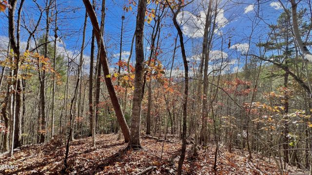 76 Grassy Branch Loop, Sevierville, TN 37876