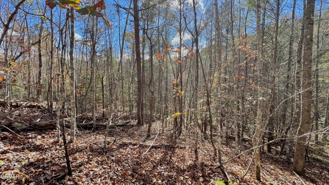 76 Grassy Branch Loop, Sevierville, TN 37876
