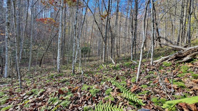 76 Grassy Branch Loop, Sevierville, TN 37876