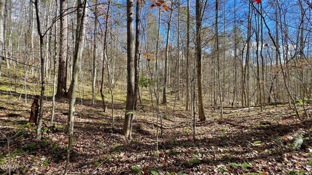 76 Grassy Branch Loop, Sevierville, TN 37876