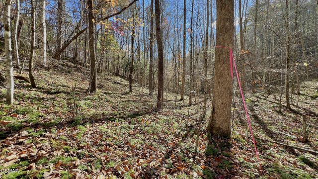 76 Grassy Branch Loop, Sevierville, TN 37876