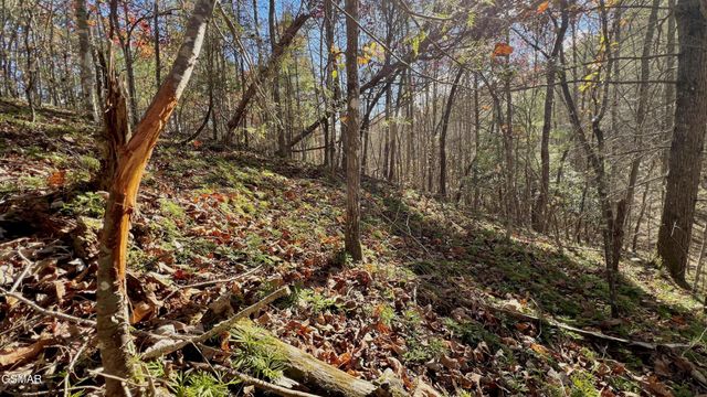 76 Grassy Branch Loop, Sevierville, TN 37876