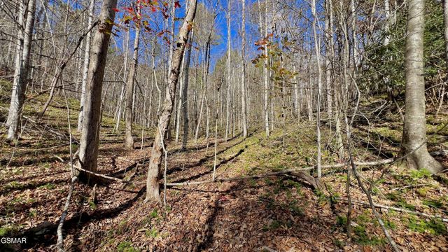 76 Grassy Branch Loop, Sevierville, TN 37876