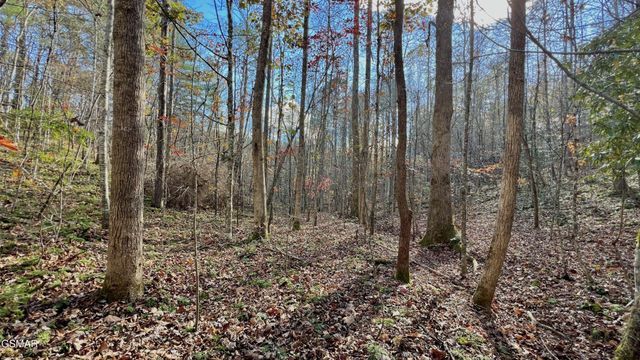 76 Grassy Branch Loop, Sevierville, TN 37876