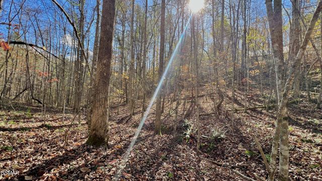 76 Grassy Branch Loop, Sevierville, TN 37876
