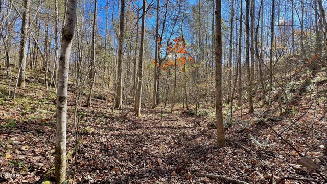 76 Grassy Branch Loop, Sevierville, TN 37876