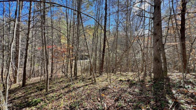 76 Grassy Branch Loop, Sevierville, TN 37876