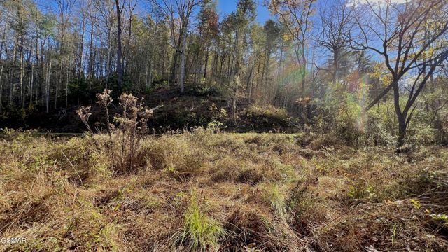 76 Grassy Branch Loop, Sevierville, TN 37876