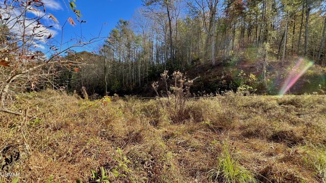 76 Grassy Branch Loop, Sevierville, TN 37876