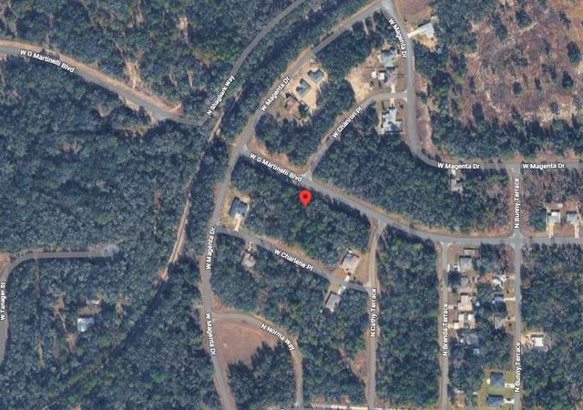 2138 W G MARTINELLI BOULEVARD, Citrus Springs, FL 34434