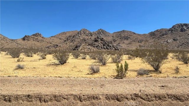 30455 Holmes Rd, Lucerne Valley, CA 92356
